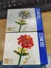 哲高积木拼装四季许愿树模型小颗粒diy创意桌面摆件玩具礼物 四季许愿树（可替换颗粒变换四季）-526颗粒 实拍图