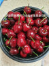 京鲜生 国产美早大樱桃 1.8斤3J级车厘子 生鲜水果 源头直发包邮  实拍图
