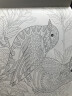 秘密花园涂色书 神奇魔法涂色系列填色书 解压减压本版神秘花园梦幻童话奇幻森林儿童涂鸦本成人手绘书籍画画书 随机3本 实拍图