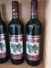 通天野生原汁山葡萄酒 8度红酒甜酒婚宴酒低度微醺酒吉林通化特产 720mL*6瓶 整箱装+开瓶器 实拍图