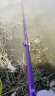 细硬峰 秋思40+46T高碳鱼竿竿超轻湖库休闲野钓碳素鱼杆 5.4m （秋思） 实拍图
