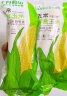 十月稻田 23年新玉米 鲜食黄糯玉米 2.2kg(220g*10) 东北黄甜糯 杂粮礼盒 晒单实拍图