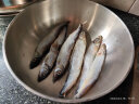 海名威 冷冻冰岛多春鱼 900g/袋 含籽率99% 海鲜水产 生鲜鱼类  烧烤 实拍图
