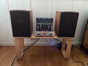 凯音（Cayin） MT-35MK3凯音斯巴克功放蓝牙合并式胆机HiFi发烧级电子管功放支持LDAC MT-35MK3 (普通版) 实拍图