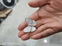 美芙仁晚舟同款和平公正胸针精致金属合金滴油和平白鸽子胸针别针七夕 蝴蝶胸针 一件 实拍图
