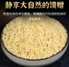 修年堂 火麻仁250g 去壳脱壳 饱满火麻籽筛捡 火麻仁茶精选无壳好货 养生茶滋养品 药食同源 实拍图