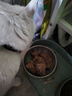 开饭乐肉小方猫罐头幼猫主食罐猫咪零食成猫营养猫咪湿粮8盒单盒190g 诺瑞小方肉主食湿粮8盒 诺瑞-鸡肉金枪鱼配方 8盒 实拍图