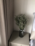 爱满（AIMAN） 干花尤加利叶北欧风ins北欧风小清新客厅摆件diy家居装饰摆件SN 情人草一束不带瓶250克晾干 实拍图