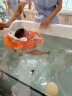 十月结晶婴儿洗澡盆新生儿加厚抑菌折叠宝宝浴盆珠光粉浴盆浴网浴垫3件套 实拍图