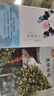 昆明的雨 八年级上册 汪曾祺 中考语文阅读拓展 人教版课文作家作品  语文教材配套读物 同名作品收入中小学语文教科书 实拍图