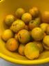 味小仙广西桂林脆皮金桔 滑皮小金桔阳朔特产黄青皮甜金橘新鲜水果 9斤（中果）【1斤30-35颗】 实拍图