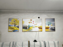 诗六艺家饰客厅装饰画北欧现代简约沙发背景墙挂画三联画大气轻奢壁画晶瓷画 家和富贵A（铝合金外框） 镶钻画左右60*80+中间120*80亮面 实拍图