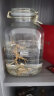 游驿（UINEAT）玻璃泡酒专用瓶密封罐家用酿酒坛10斤泡酒容器酒瓶 实拍图