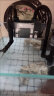 森森（SUNSUN） 鱼缸水族箱生态超白玻璃缸桌面水草缸客厅造景金鱼缸 加宽超白缸300*200*238mm带底膜 实拍图