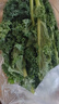 【顺丰】羽衣甘蓝 新鲜沙拉菜 都市健康轻食蔬菜 羽衣甘蓝500g 实拍图