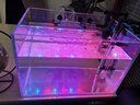 松宝松宝鱼缸灯led灯防水照明灯水草灯草缸灯潜水灯赏鱼T8灯管鹦鹉龙 赏鱼灯60D【 6W 长 36cm】顺丰配送 实拍图