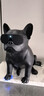 AERO SYSTEM法国官方斗牛犬无线蓝牙音响低音炮手机便携家用电脑音箱音响(JARRE) AeroBull HD斗牛犬蓝牙音箱-黑色 实拍图