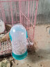 威毕鸽子饮水器喂食器自动喂水水壶信鸽赛鸽用品用具鹦鹉八哥自动下料 饮水喂食器大号2个组合 饮水器 实拍图