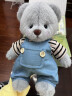 吉吉熊（JIJIXIONG）520情人节伊莉娜熊小熊玩偶娃娃毛绒玩具公仔送女孩生日礼物 海狸套装 (新款） 30厘米中号小熊+衣服+透明礼袋  代写贺卡 实拍图