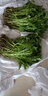 密之蓝天现摘现发农家种植本地蒿子秆300g嫩叶菜茼蒿火锅食材生鲜新鲜蔬菜 300g 实拍图