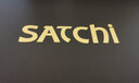 沙驰（SATCHI）男鞋 男士皮鞋一脚蹬皮鞋男商务休闲鞋  21782037Z 黑色A 41 实拍图