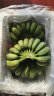 城南堡花广西小米蕉 现摘小香蕉 苹果蕉新鲜水果 小米蕉9斤装 晒单实拍图