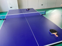 红双喜专业滚轮折叠乒乓球台标准比赛球桌TK2019含球拍网架乒球 晒单实拍图