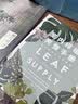 室内绿植完整手册(我的植物生活新提案) 实拍图