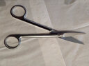 谨锐器械用品工具医用解剖手术剪刀用镊子加厚硬不锈钢棉花缸腰盘 【剪刀】：16cm(直头) 实拍图