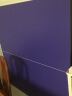 健伦（JEEANLEAN）乒乓球桌 室内家用可折叠比赛标准移动乒乓球台户外 标准级KL301S乒乓球台(室内款) 晒单实拍图