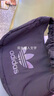 三叶草（Adidas） 尼龙 云朵包 手提斜挎单肩包 男女包 休闲包 JP0145中号 均 码 实拍图