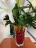 弗莱文茨红色水晶玻璃花瓶 现代简约红色插花器富贵竹 餐桌茶几家居摆件 炫彩水培器皿 大号 晒单实拍图