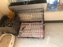 汤琪猫笼加粗便携折叠猫笼子猫别墅家用双层宠物用品猫窝猫屋龙猫笼子 黑色 600#双层 实拍图