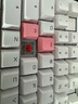 CHERRY 8Key樱桃透光原厂键帽机械键盘键帽更换增补键帽 8键套装【粉色】 实拍图