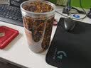 藏曦堂冰山雪菊 西藏  蛇目菊 昆仑山脉 天山 菊花 100克*1瓶 实拍图