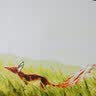 大画王 王子和狐狸麦田周边动漫风景卡通填色手绘装饰画电影diy数字油画 小王子 6528 30*50厘米+内框+颜料+画笔 实拍图