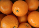 京鲜生 赣南脐橙/橙子 5kg装钻石果 单果230g以上 新鲜水果  实拍图