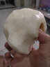 栩季（XUJI）山东莱阳秋月梨羊脂当季新鲜特级整箱雪梨丰水秋月梨水果礼盒 9斤（精选装） 实拍图