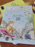 笑猫日记全套全集28册 新版29笑猫在故宫28大象的远方 第1-27册戴口罩的猫幸运女神的宠儿杨红樱童话系列书 全套27册 实拍图