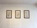 佑圣新中式客厅装饰画餐厅三联挂画郎世宁卧室装饰画沙发背景墙有框画壁画挂画 张大千兰花三联田园柚木色【实木框  40*60CM 实拍图