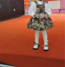 Seafung英国品牌海外店 女童连衣裙套装洋气时尚宝宝裙子长袖儿童公主裙 YCTZ-351-棕色 110cm (建议身高100-110cm) 晒单实拍图