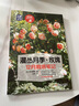 灌丛月季 玫瑰12月栽培笔记 实拍图