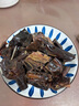 金元源【中山亭直发】正宗金元源酱板鸭湖南特产手撕风干鸭零食小吃熟食 348克 原味不辣 实拍图