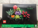 乐高（LEGO）10309 多肉 积木 创意IDEAS系列永生花成人粉丝款情人节礼物 实拍图