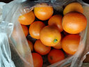 拾橙 江西赣南脐橙赣州橙子赣州橙子安远寻乌信丰脐橙 中果净重4.5斤 实拍图