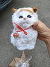 亦趣仿真猫玩偶会叫小猫咪毛绒玩具摆件可爱猫咪公仔儿童生日新年礼物 黄头会叫猫咪+领结 实拍图