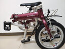 大行（DAHON）大行折叠自行车14寸超轻男女款轻巧便携成人城市自行车BYA412 粉色 实拍图