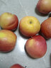 京典光年山西运城红富士苹果2025年新果老树冰糖心苹果平安果山西特产水果 净重3斤品质果 实拍图
