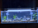 金利佳（Jeneca）鱼缸过滤器三合一吸水泵滤盒水族箱上滤上置循环过滤槽壁挂增氧 【白色双过滤器】适长90-107CM 实拍图