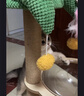 MamyPets猫爬架猫窝猫抓板一体剑麻猫抓柱小户型不占地猫架子猫窝猫咪玩具 【椰子树猫爬架】太空舱款 实拍图